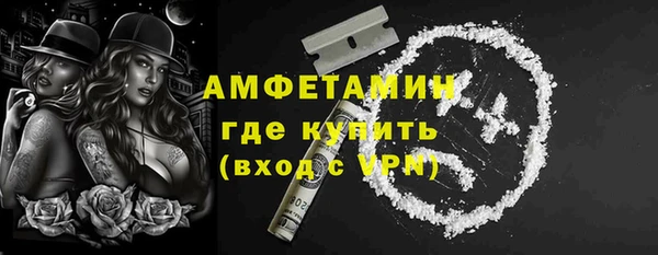 шишки Елабуга