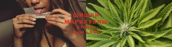 прущий лед Заводоуковск