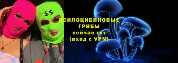 ECSTASY Ельня