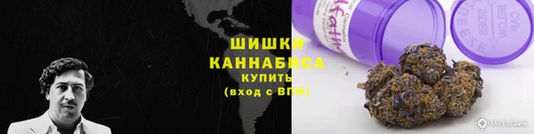 прущий лед Заводоуковск