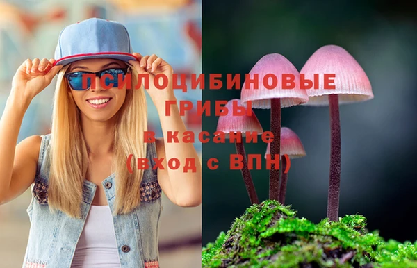 спиды Заволжье