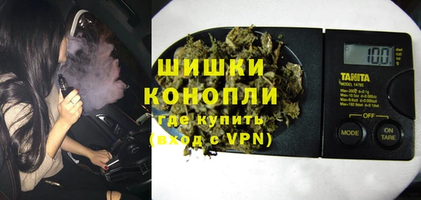 ECSTASY Ельня