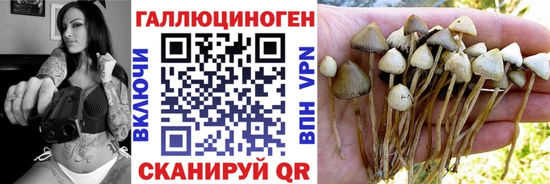 Галлюциногенные грибы мухоморы  Купить где  Гуково 